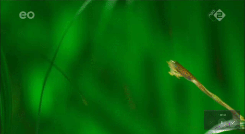 c8d49b21095ba5c506d784e9943bb1ef.gif