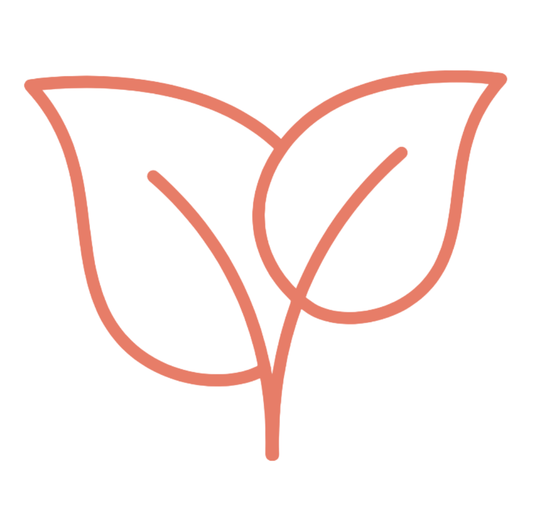 Natural Ingredients Icon