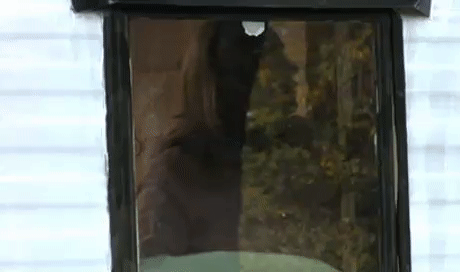 c908fb8813918438dda886493cef95c7.gif