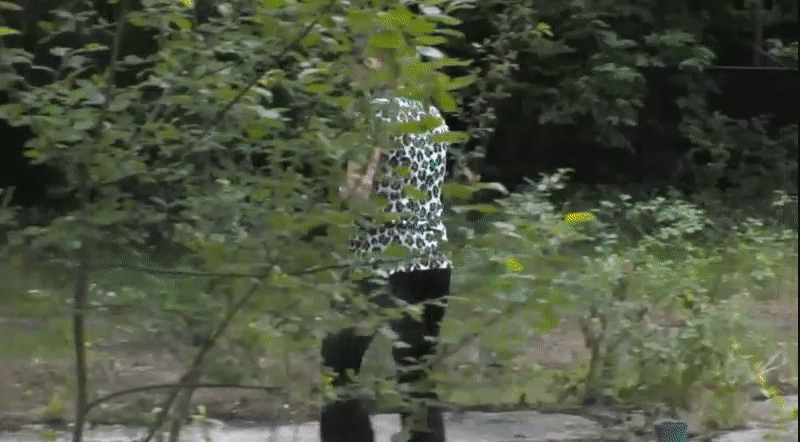 c97d36fa5354cfb24e258b443757d135.gif