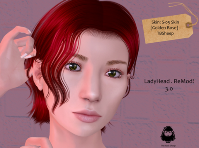 The FabFree Mesh Body and Head Listing
