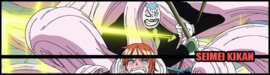 Estilo Especial Seimei Kikan