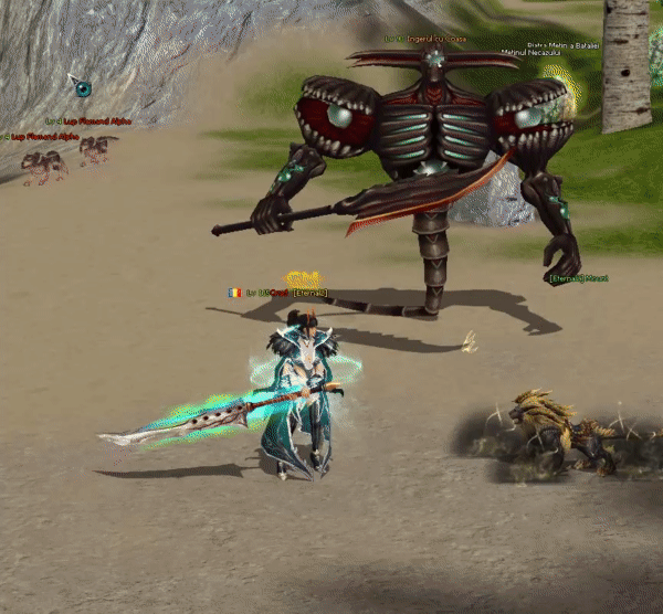 Login Animation