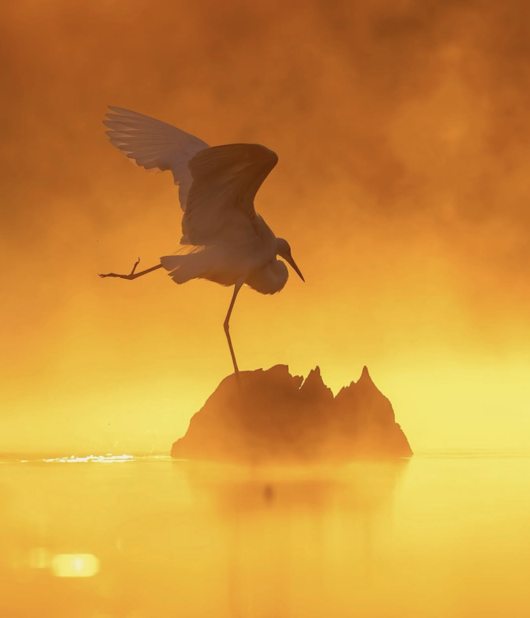 caa6f8eea575f0ab592b7636f42e393f.png
