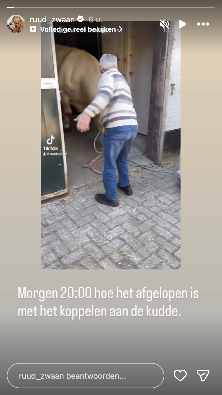 cb68c887ea754fad5e8870f5065c271f.png
