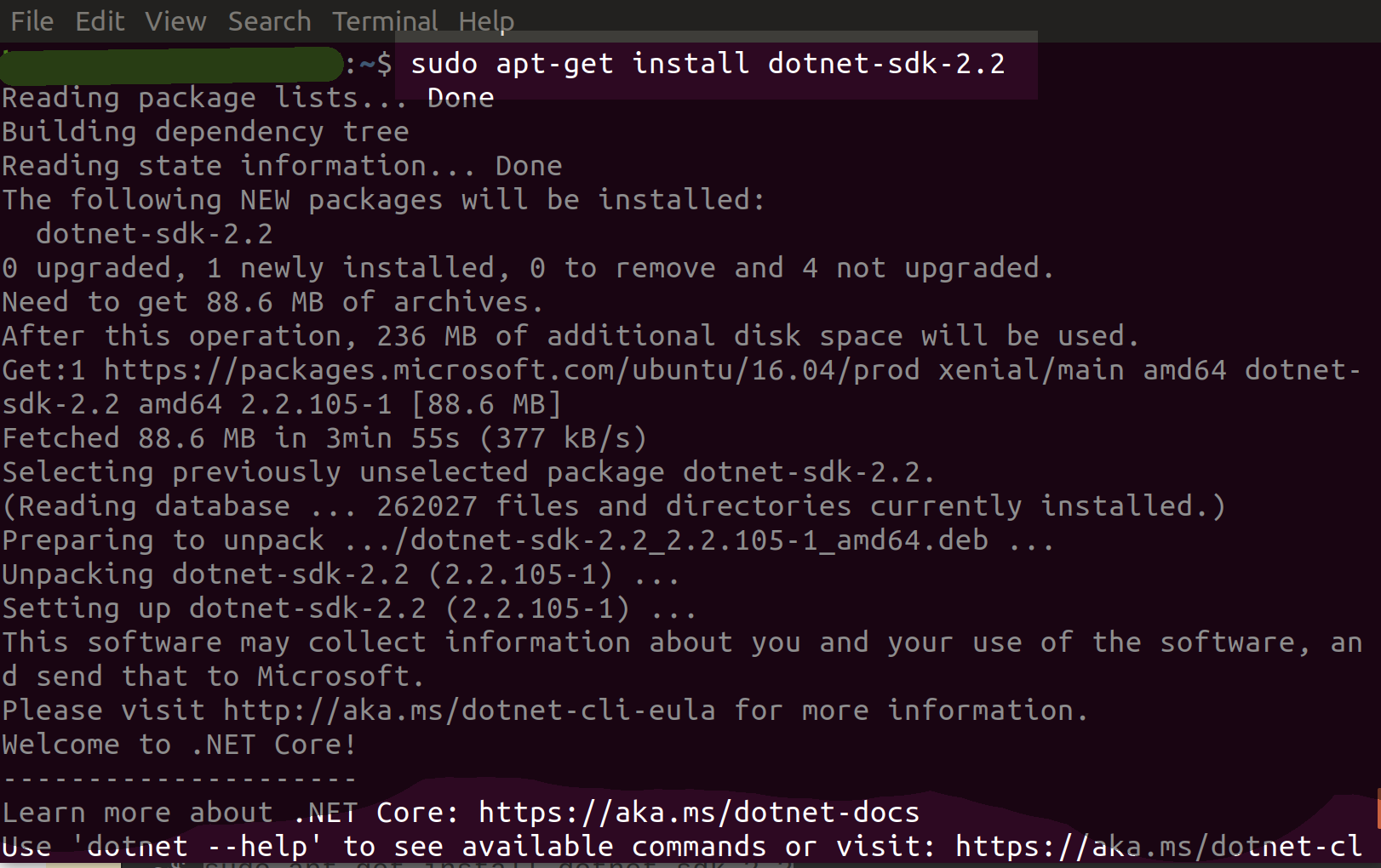 Install Dot Net Client Ubuntu