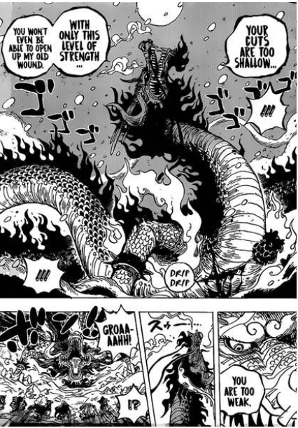 Spoiler One Piece Chapter 1003 Spoilers Discussion Page 521 Worstgen