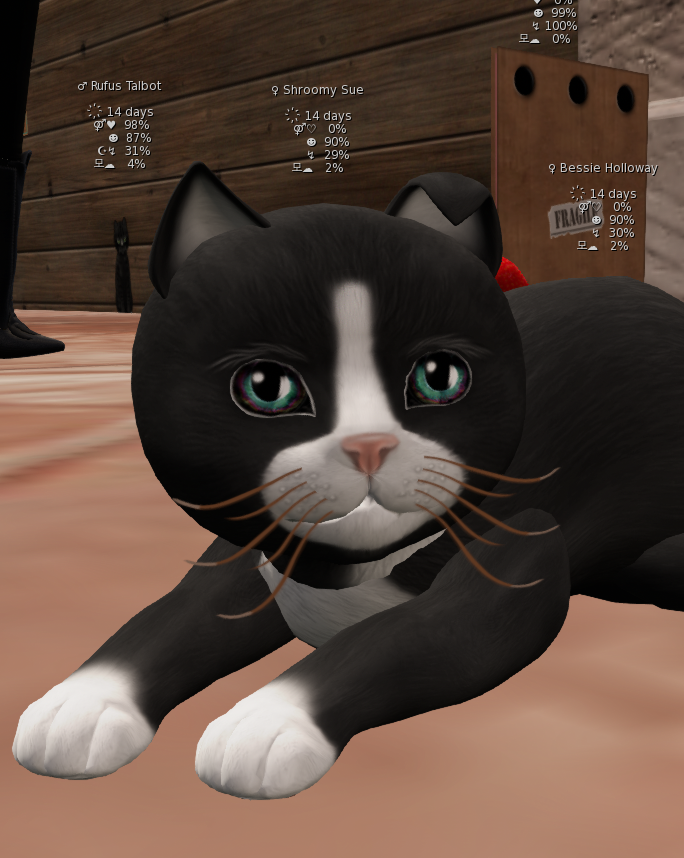 [Image: cd97a196bc5d1067a1e72f48f6318c54.png]