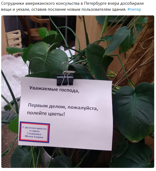 Не поливать картинка