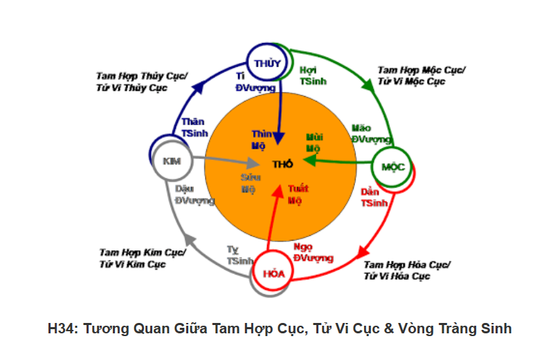 Hình ảnh