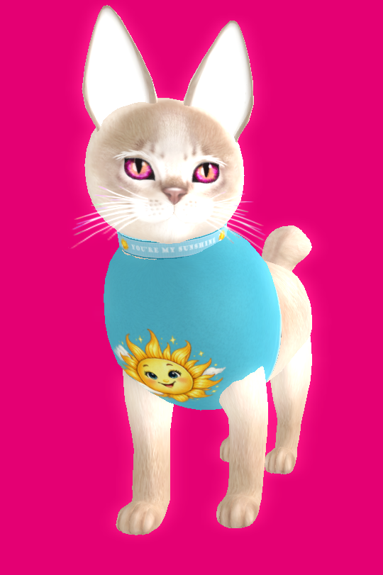 [Image: ce74a7582e54ad1ab212e02bf68cf3d9.png]