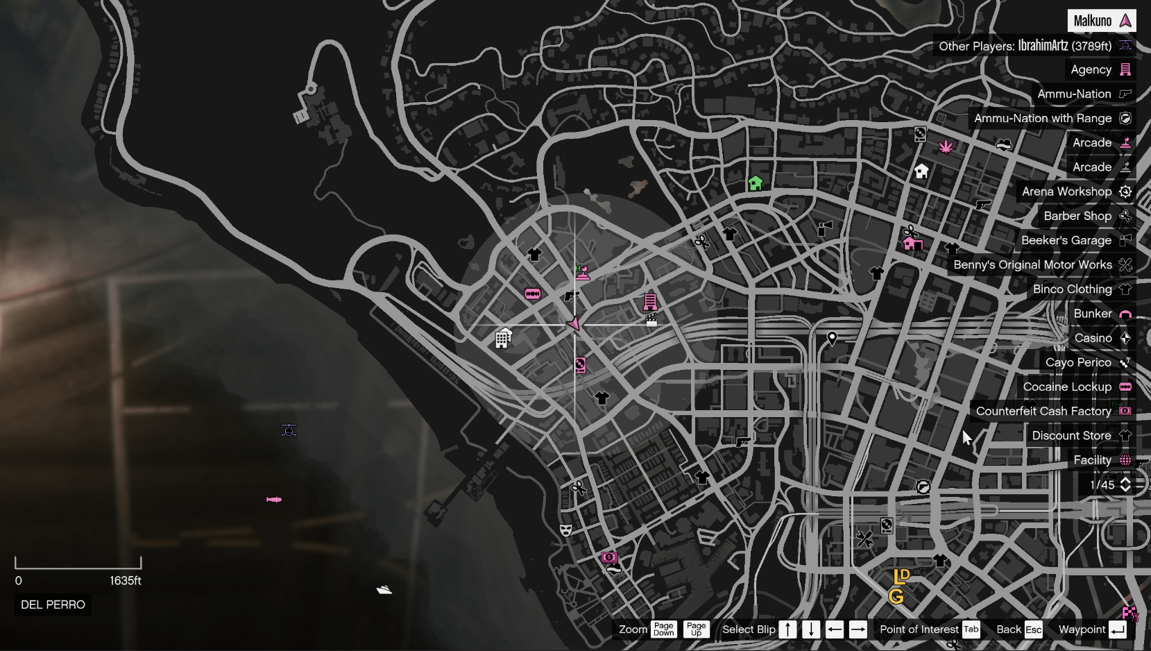 I believe in Imani supremacy : r/gtaonline