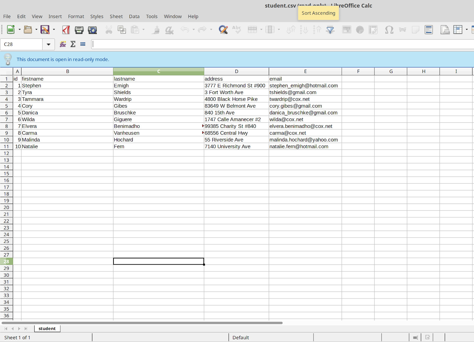 Screenshot of a CSV file that was created from a PostgreSQL table in psql