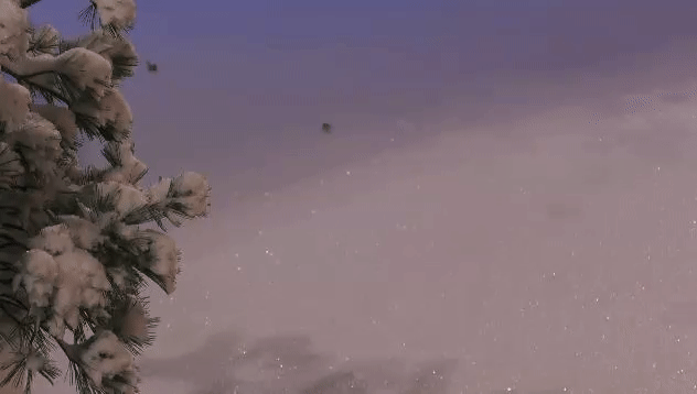 d011cabc7878719951f159538ead20da.gif