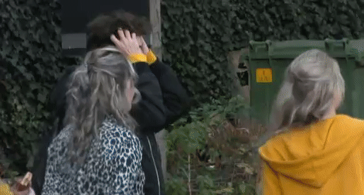 d12a306dad1a24ff2c4a3f402890bb33.gif