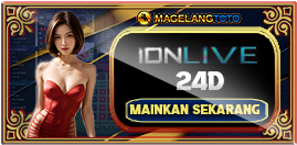 Casino Games 3D Shio