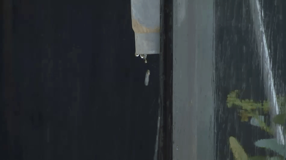 d1ef24abe17416528709c0e976e353fc.gif