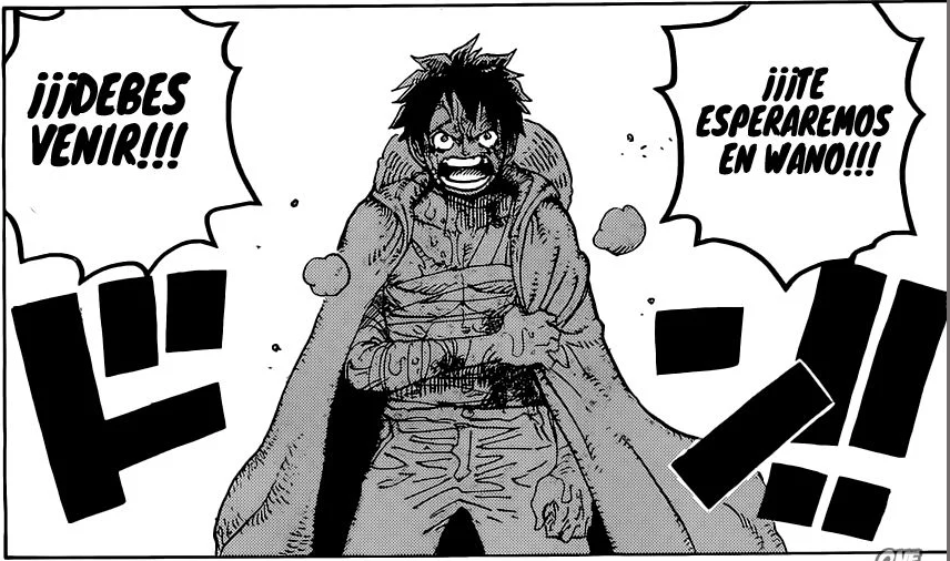 SPOILER: ONE PIECE 901