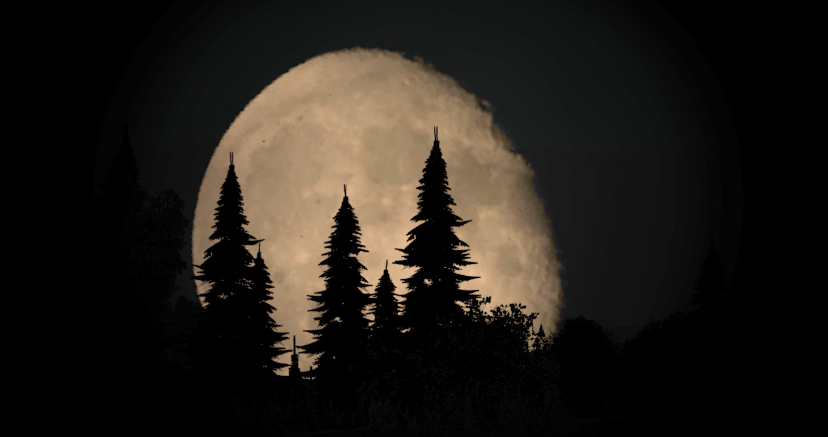d27628c22fd029901354baf2067ed3d8.png