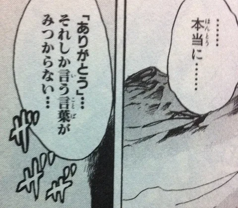 参考画像
