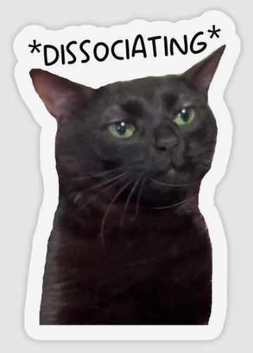 tired black cat meme