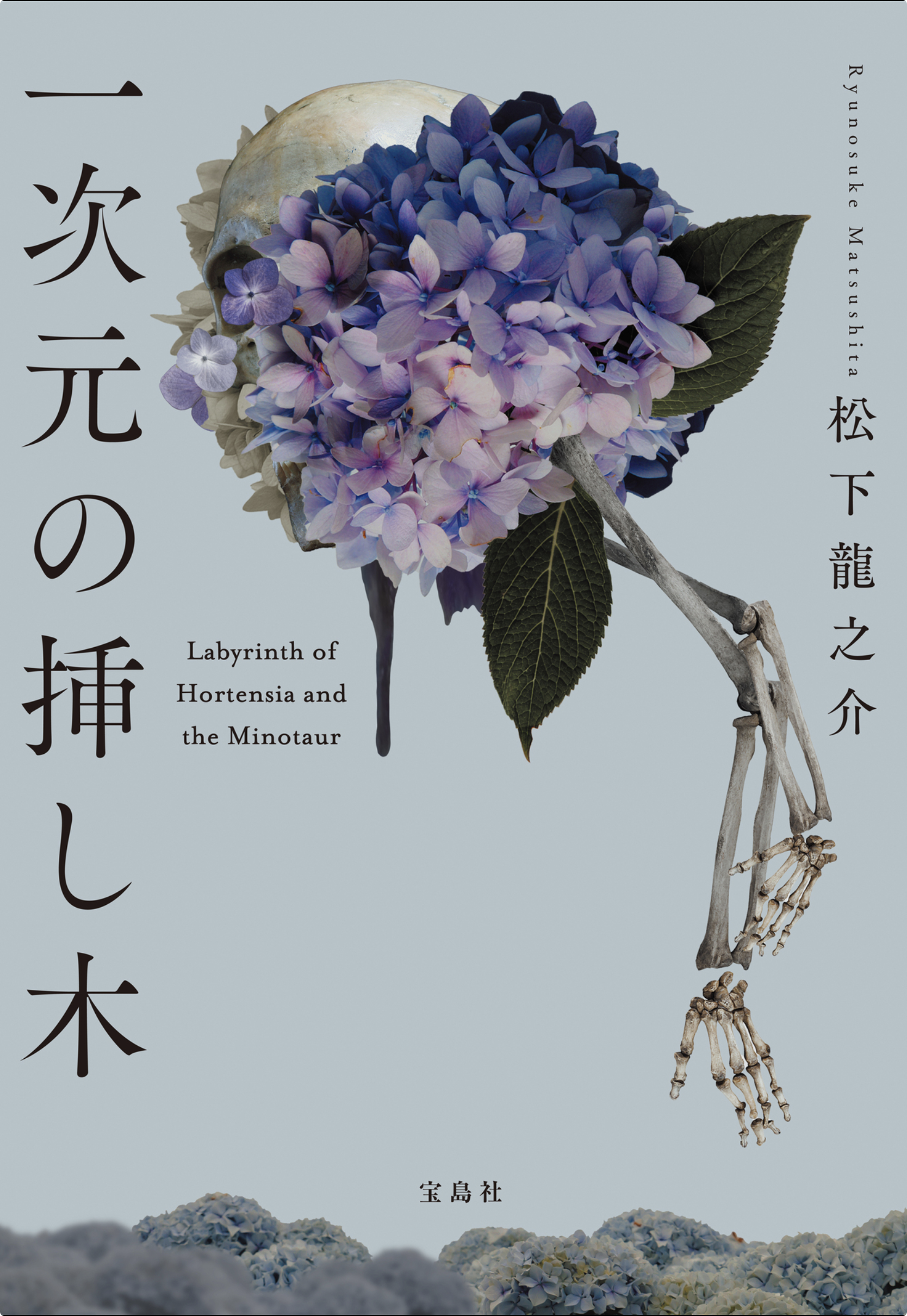 一次元の挿し木