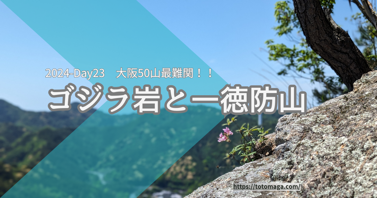 大阪50山最難関、ゴジラ岩と一徳防山#23