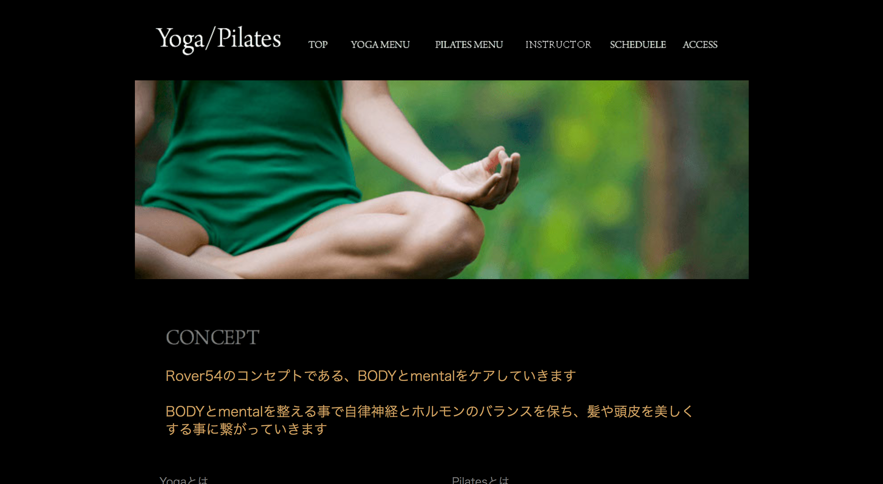Yoga Pilatesの画像