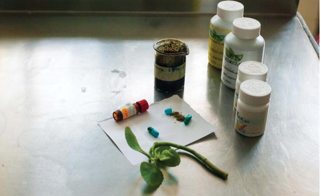 plantas medicinales para curar el cancer de prostata