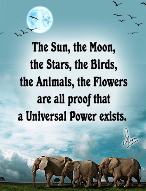 The Sun, the Moon, the Stars, the Birds, the Animals, the Flowers, are all proof that a Universal Power exists.