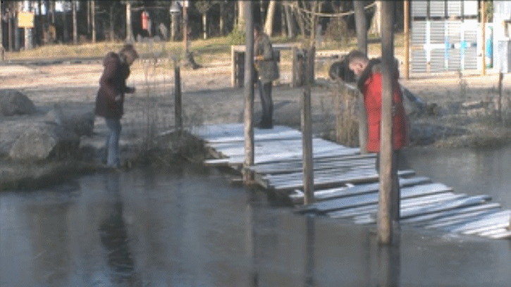 d3caba6de548c686130d054c6a29e316.gif