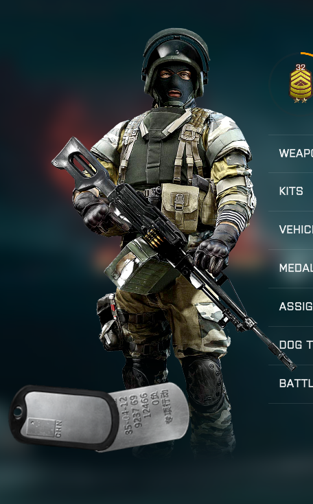 my bf4 portrait will not change for some reason - Answer HQ