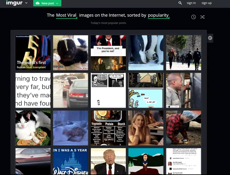 d446c0bebdd18257b5524324350a54c6.gif