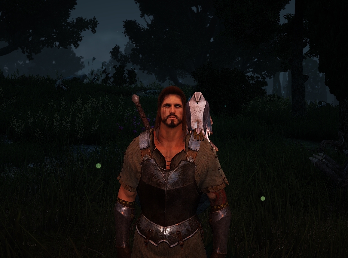 Bird pets can sit on your shoulder!