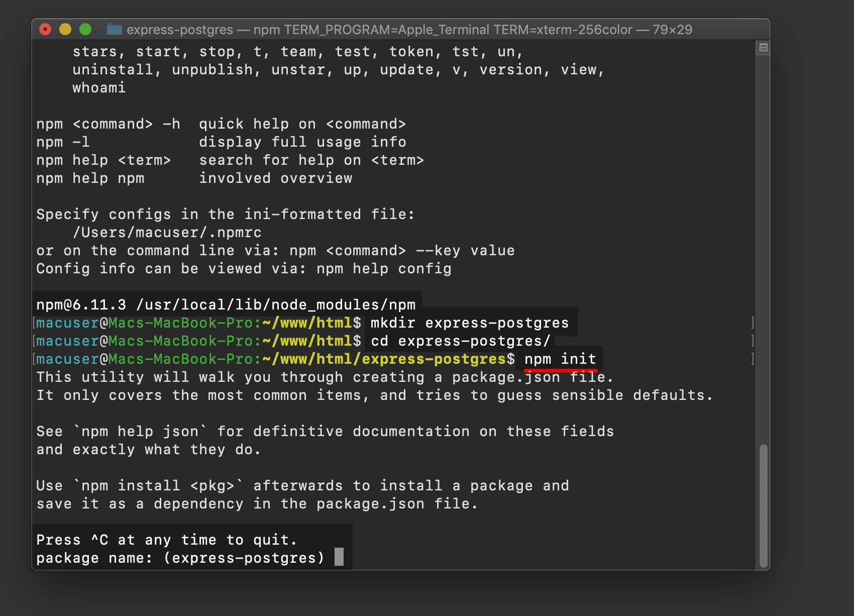 Screenshot of NodeJs application setup initialization with NPM