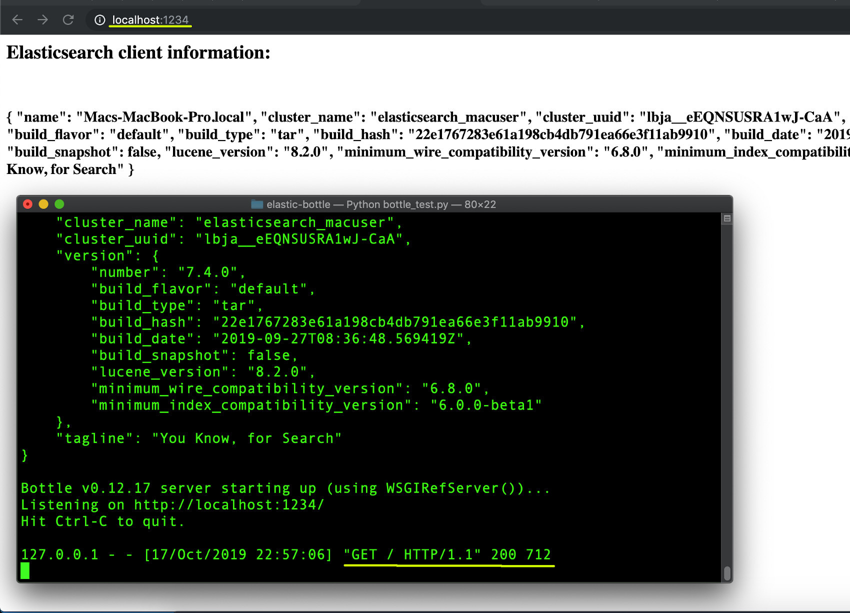 Screenshot of the Python Bottle framwork returning Elasticsearch cluster information in browser tab