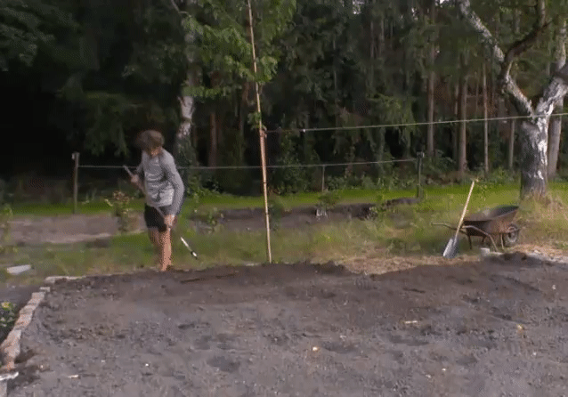d79315f08195ce0ebb57e57e6d2c8dd5.gif