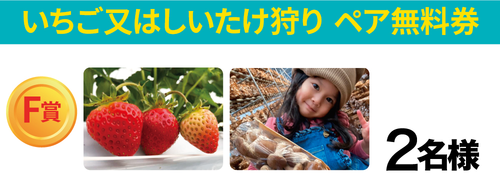 タイトル