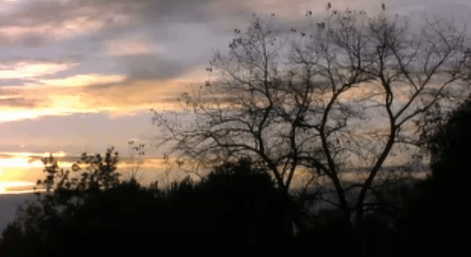 d7bb619ab79cc266a47e5b33fb8a828a.gif