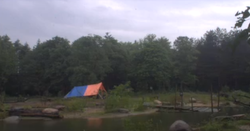 d7e63387d3d1b80907c4256989f5bb56.png