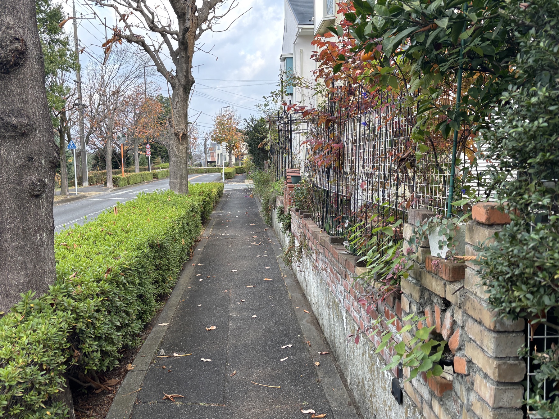 20251202 全然撮れてない