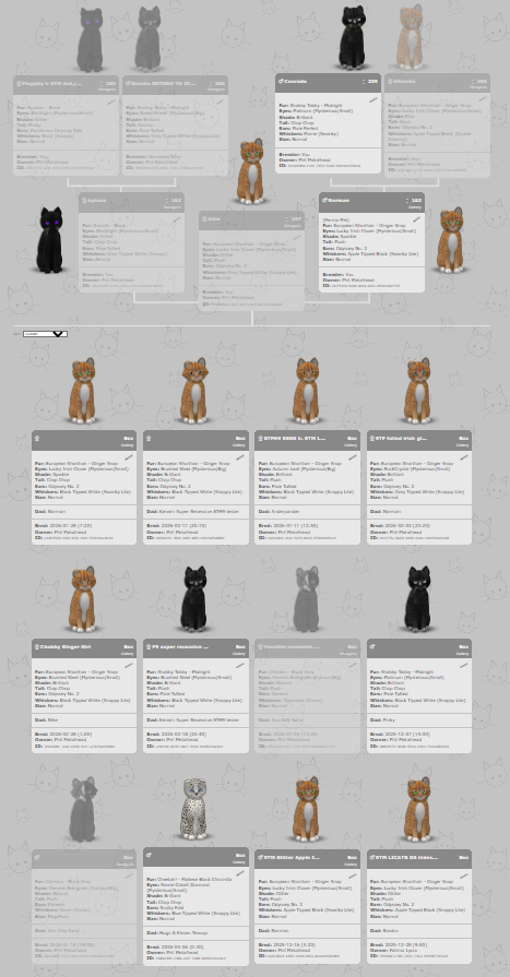 [Image: d8965007487307b65f4db5997c2d46ff.png]