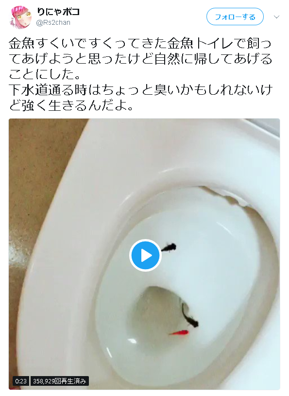 生きた金魚をトイレに流して大炎上した女性 19 クレーム殺到で職場を解雇されていた ゲームかなー