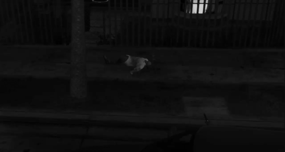 db8f2a822295bc2bd344172f8ed7ee28.gif