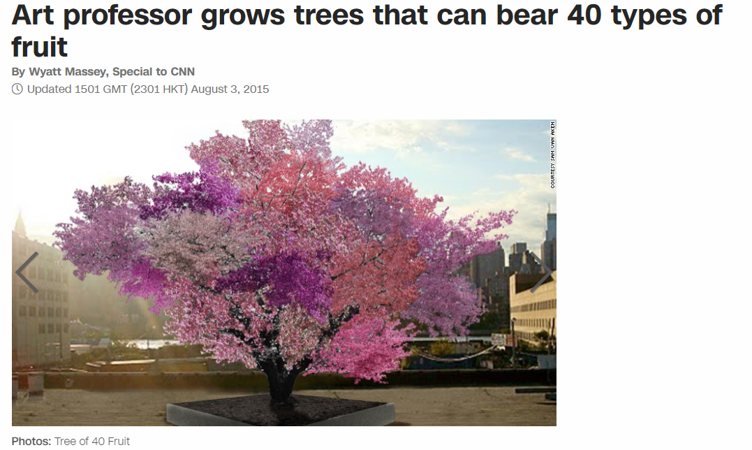 dbb3d7b60b3a31908311ea149c54f113.png