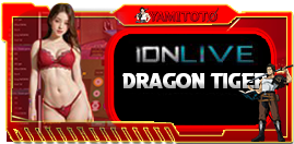 Casino Games 24D