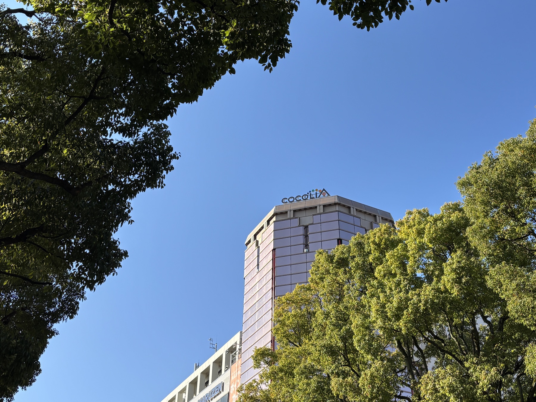 20260324 健康診断つつがなく終了