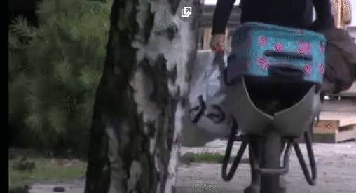 dd9f92d5b07c335c37f334e67318256a.gif