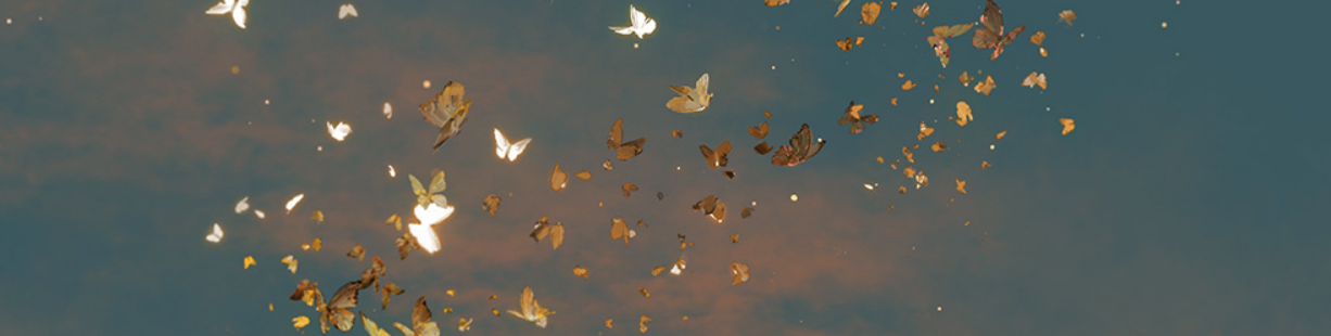 [Image: ddd544e6edb6310cdf08bccb8b48ae92.png]