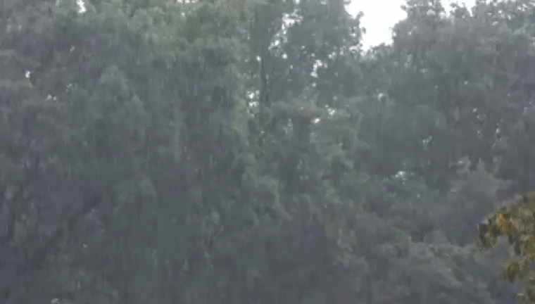 de01c94002f56a76ad0cfe85e1da8282.gif